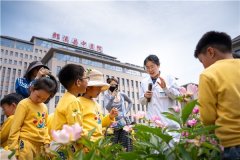 <b>喷鼻囊不只承载着夸姣的</b>